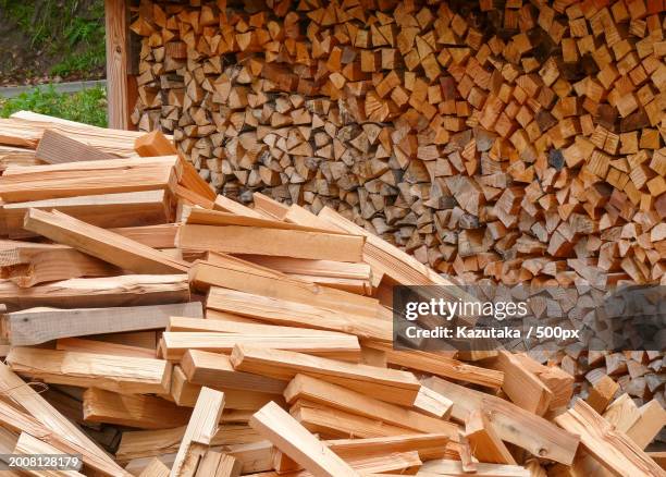 high angle view of logs in forest - 山 stock pictures, royalty-free photos & images