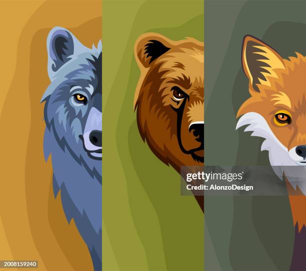 wildlife mascot trio: bear, wolf, and fox heads. creative banner design. - pets icon blue stock illustrations