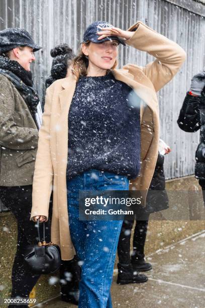Dree Hemingway attends the Gabriela Hearst fashion show during during New York Fashion Week: The Shows at the Navy Yards on February 13, 2024 in New...