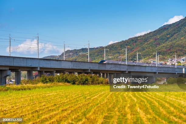Bullet Train Rice 117 Japanese Bullet Bridge Stock Photos, High-Res Pictures, and Images ...