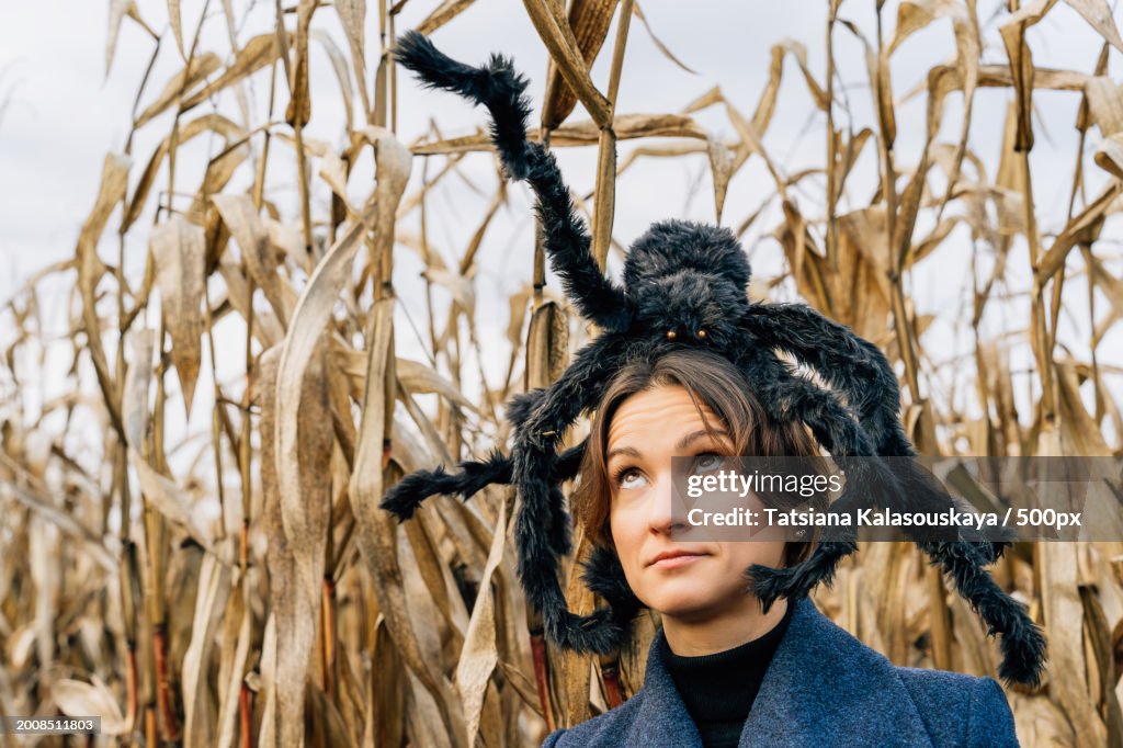 Huge shaggy black toy spider on the head of a woman in a cornfield