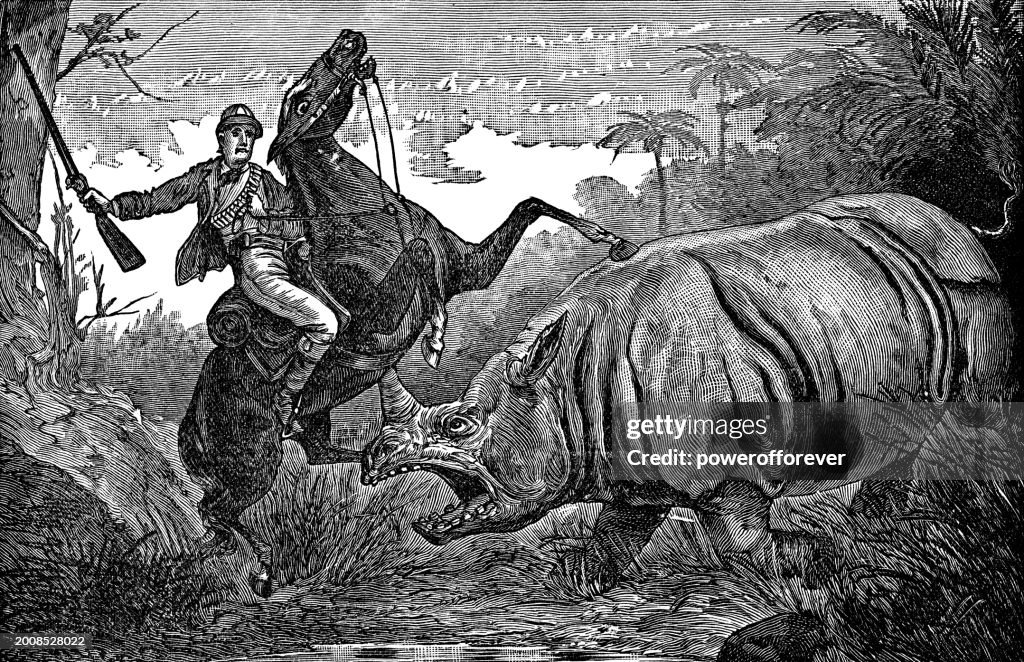 Big Game Hunter Attacked by White Rhinoceros in Africa - 19th Century
