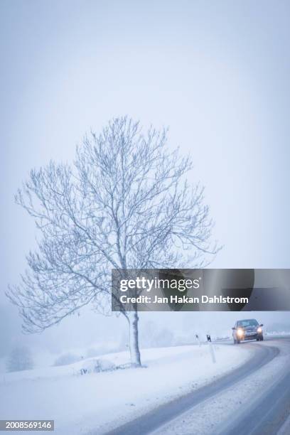 tree and car in winter landscape - nr bend stock pictures, royalty-free photos & images