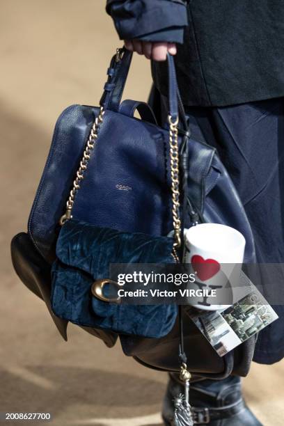 Model walks the runway during the Coach Ready to Wear Fall/Winter 2024-2024 fashion show as part of the New York Fashion Week on February 12, 2024 in...