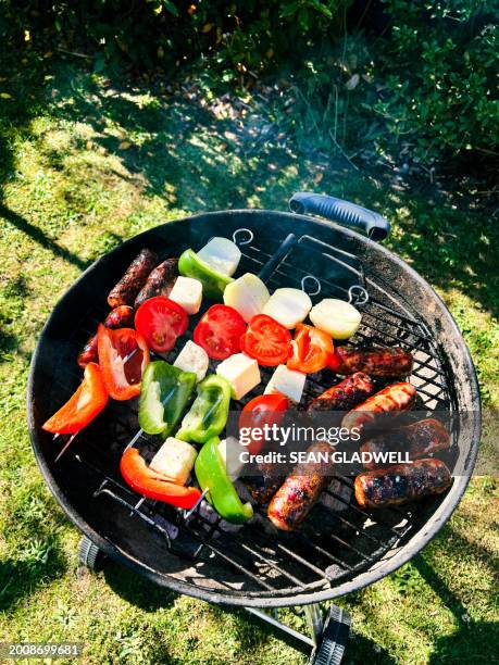 overhead kebabs on bbq - vegetable kebab stock pictures, royalty-free photos & images