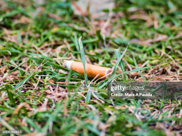 cigarette in grass - london pollution stock pictures, royalty-free photos & images