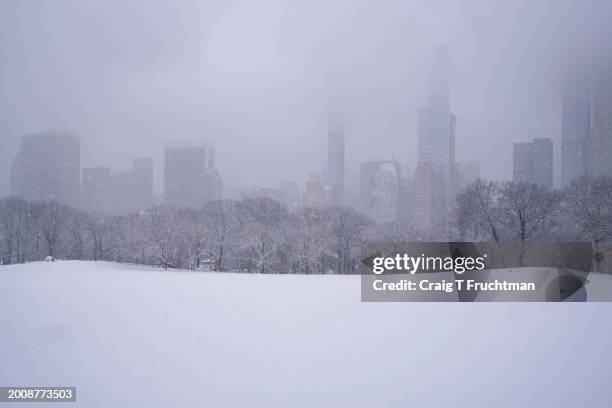 Snow covers Sheep Meadow in Central Park during a storm on February 13, 2024 in New York City.