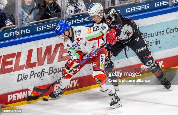 February 2024, Berlin: Ice hockey: DEL, Eisbären Berlin - Augsburger Panther, Main Round, Matchday 46, Mercedes-Benz Arena. Berlin's Leo Pföderl...