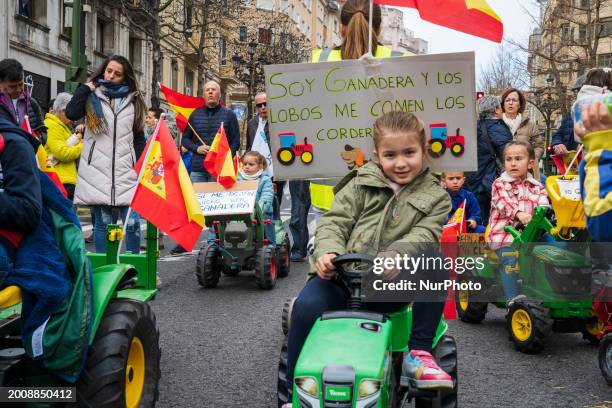 58 Girl Riding Sheep Stock Photos, High-Res Pictures, and Images ...