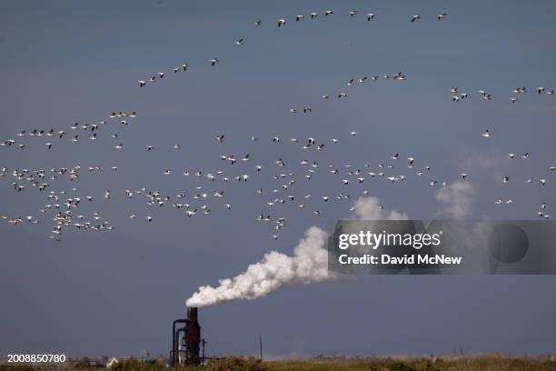Snow geese fly near Controlled Thermal Resources' Hell's Kitchen lithium and renewable power plant, the first of several to be built despite the...