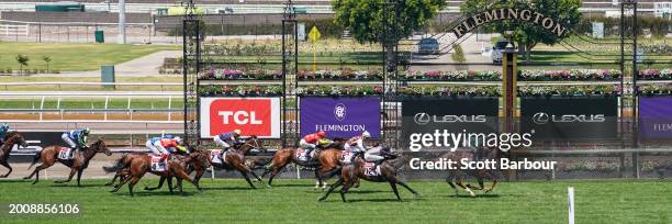 Aardvark ridden by Damian Lane wins the TCL Talindert Stakes at Flemington Racecourse on February 17, 2024 in Flemington, Australia.