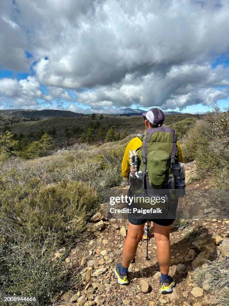 pacific crest trail szene - wanderweg-pacific-crest-trail stock-fotos und bilder