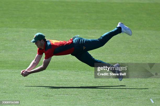 Mitch Owen of the Tigers takes the catch to dismiss Josh Philippe of Western Australia during the Marsh One Day Cup match between Tasmania and...