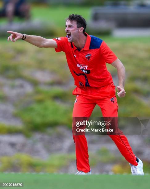 Jordan Buckingham of the Redbacks appeals for lbw against Marnus Labuschagne of the Queensland Bulls during the Marsh One Day Cup match between South...