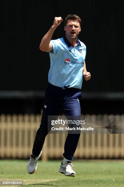Jackson Bird of the Blues celebrates taking the wicket of Sam Harper of Victoria during the Marsh One Day Cup match between New South Wales and...