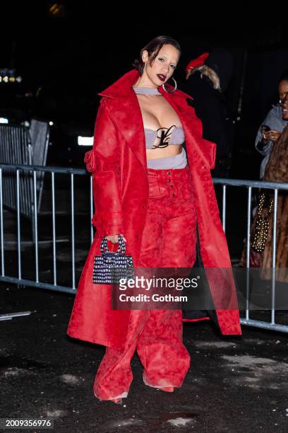 Dascha Polanco attends the Luar fashion show during New York Fashion Week: The Shows in Brooklyn on February 13, 2024 in New York City.