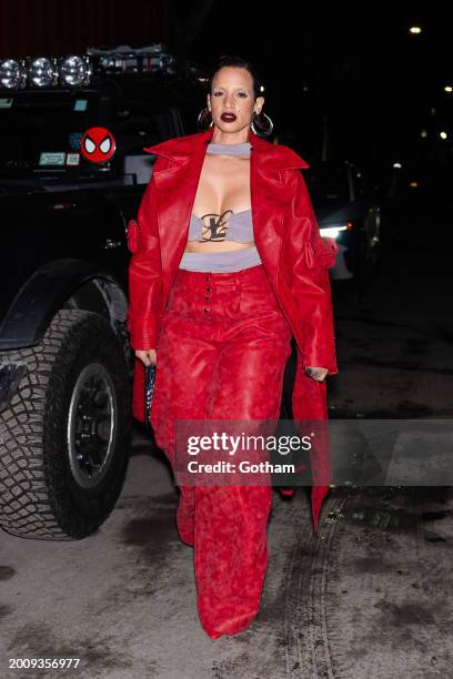 Dascha Polanco attends the Luar fashion show during New York Fashion Week: The Shows in Brooklyn on February 13, 2024 in New York City.