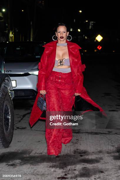 Dascha Polanco attends the Luar fashion show during New York Fashion Week: The Shows in Brooklyn on February 13, 2024 in New York City.