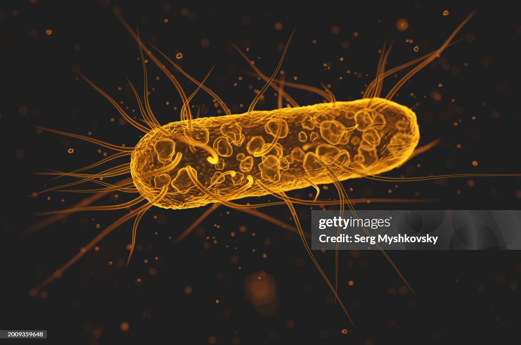 Close-up of Escherichia coli bacteria on a black background.