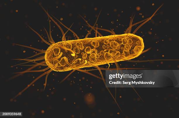 close-up of escherichia coli bacteria on a black background. - enterobacter aerogenes stock pictures, royalty-free photos & images