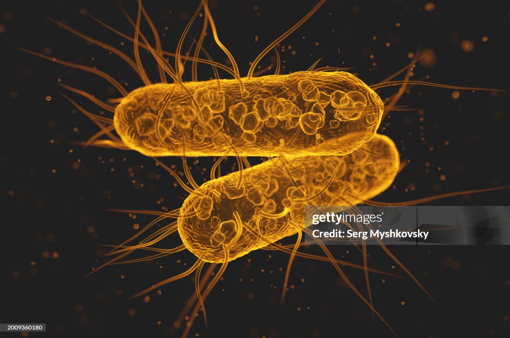 Close-up of Escherichia coli bacteria on a black background.