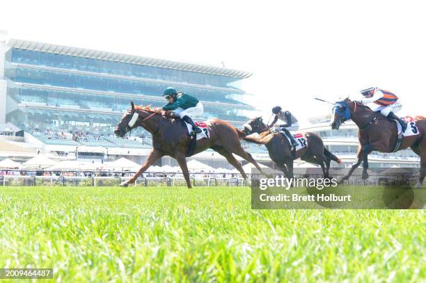 Aardvark ridden by Damian Lane wins the TCL Talindert Stakes at Flemington Racecourse on February 17, 2024 in Flemington, Australia.