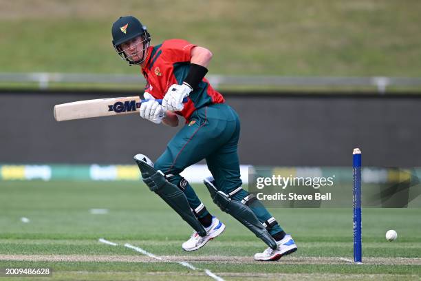 Jordan Silk of the Tigers bats during the Marsh One Day Cup match between Tasmania and Western Australia at Blundstone Arena, on February 14 in...