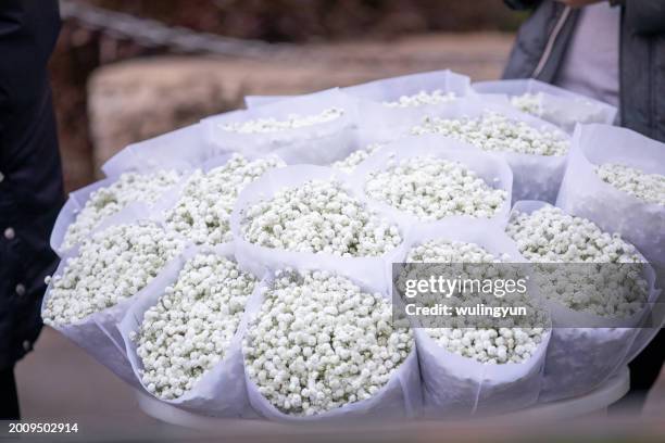 white gypsophila bouquet wrapped in white paper being sold at the flower wholesale market - inzoomen stockfoto's en -beelden