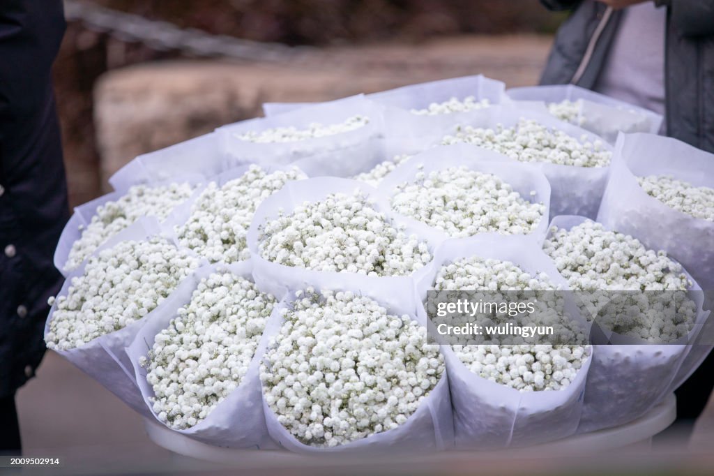 White Gypsophila bouquet wrapped in white paper being sold at the flower wholesale market