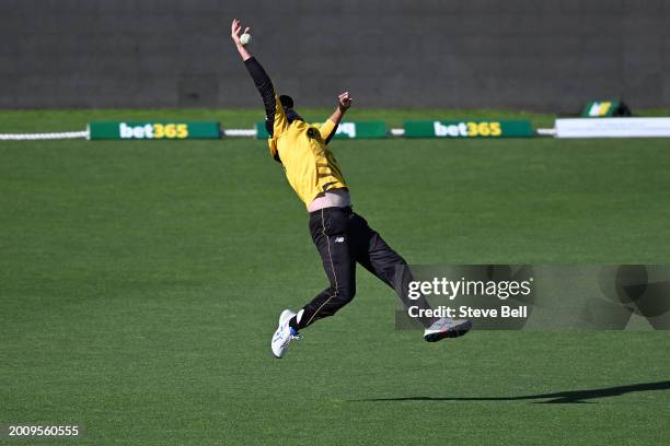 Sam Whiteman of Western Australia attempts a catch to dismiss Patrick Dooley of the Tigers during the Marsh One Day Cup match between Tasmania and...