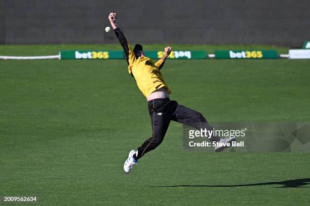 Sam Whiteman of Western Australia attempts a catch to dismiss Patrick Dooley of the Tigers during the Marsh One Day Cup match between Tasmania and...