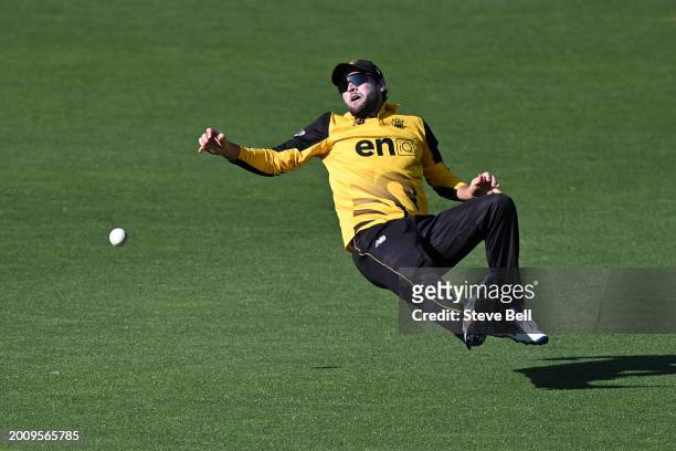 Sam Whiteman of Western Australia drops the catch to dismiss Patrick Dooley of the Tigers during the Marsh One Day Cup match between Tasmania and...