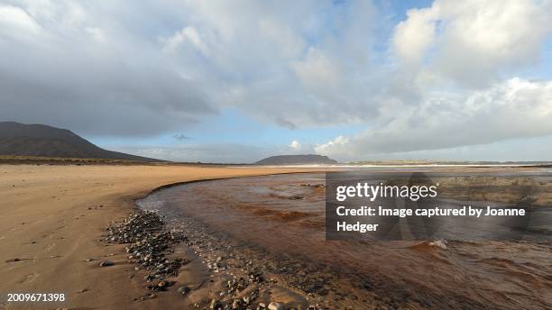 beach with rocks and water - mud flat stock pictures, royalty-free photos & images