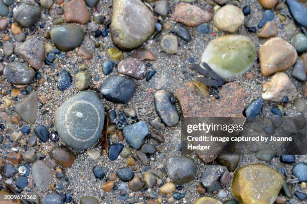 texture of stones on the beach - 玉砂利 ストックフォトと画像