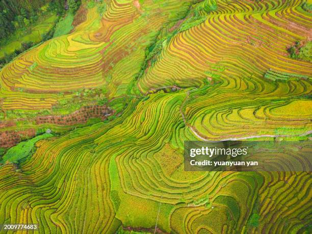 landscape of longji terrace - guilin stock pictures, royalty-free photos & images