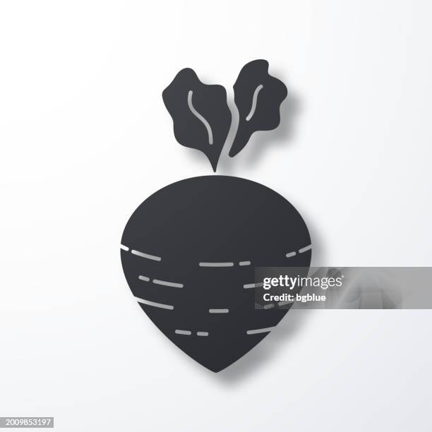 turnip. icon with shadow on white background - beetroot cut out stock illustrations