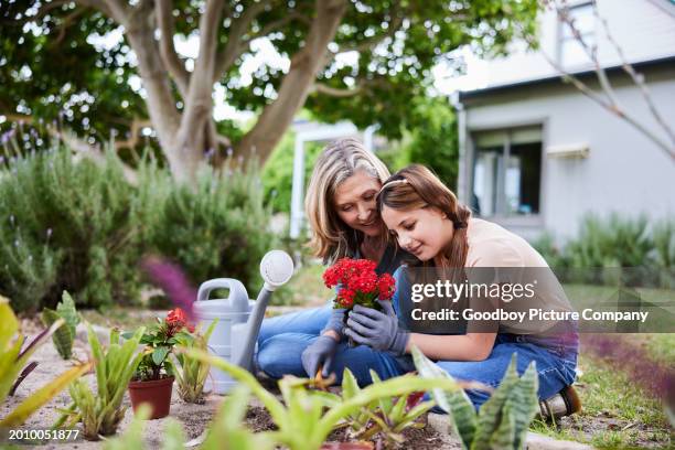 la nonna e la sua giovane nipote piantano fiori insieme in un giardino - giardinaggio foto e immagini stock