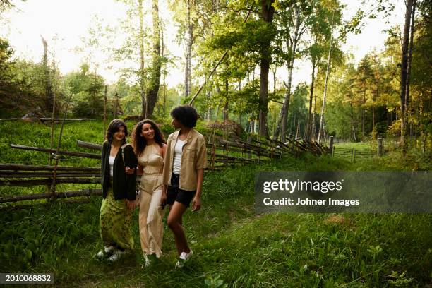 young female friends walking in nature - promenade stockfoto's en -beelden