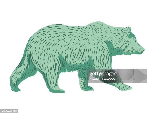 ilustraciones, imágenes clip art, dibujos animados e iconos de stock de oso de estilo de arte popular dibujado a mano - oso