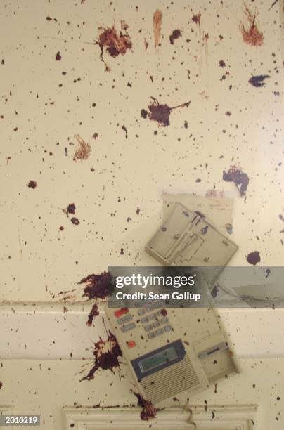 Blood Splatter Wall Photos and Premium High Res Pictures - Getty Images