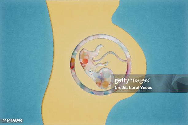 felt image  of woman pregnancy.conceptual image of fetus - 20 week foetus stock pictures, royalty-free photos & images