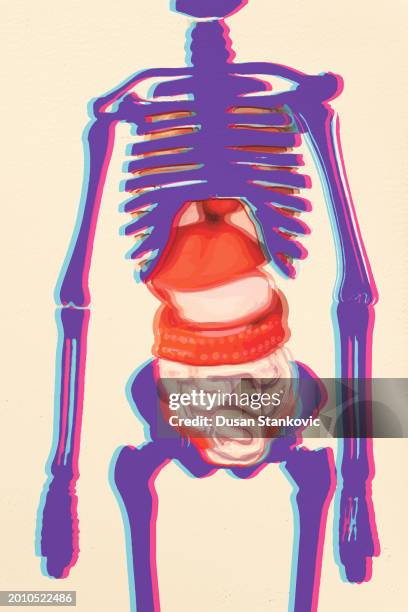 stockillustraties, clipart, cartoons en iconen met human skeleton and internal organs - digitaal samengesteld beeld