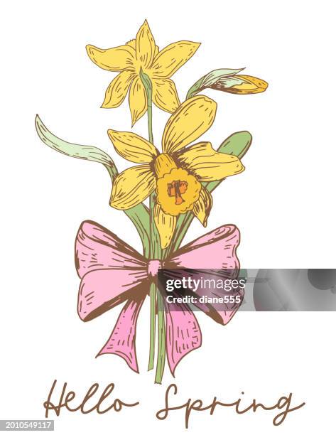 spring daffodils card & poster template - daffodil stock illustrations
