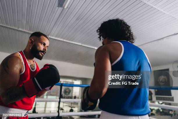 8,311 Boxing Face Off Stock Photos, High-Res Pictures, and Images ...