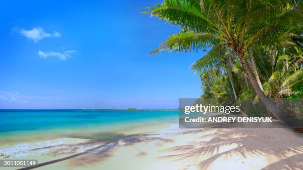 perfect beachscape - puerto viejo stock pictures, royalty-free photos & images