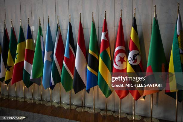 General view of the flags of the member states of the African Union during the second day of the 37th Ordinary Session of the Assembly of the African...