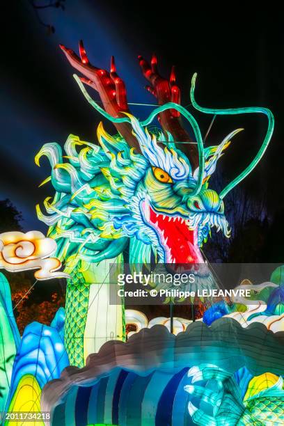 dragon lanterns illuminated at night in jinli ancient street - animal representation stock pictures, royalty-free photos & images