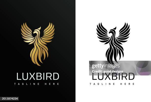 Roger Rouch 20 Golden Hawk Bird Stock Photos, High-Res Pictures, and Images - Getty ...