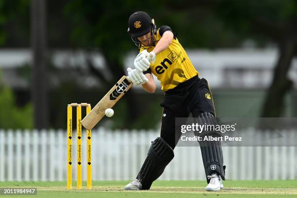 Lisa Griffith of Western Australia bats during the WNCL match between Queensland and Western Australia at Allan Border Field, on February 15 in...