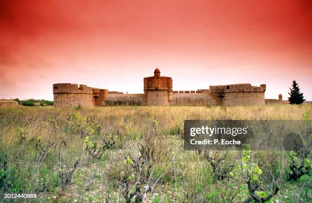 the fortress of salses - forteresse photos et images de collection